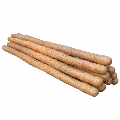 铁棍山药2根 约600-700g