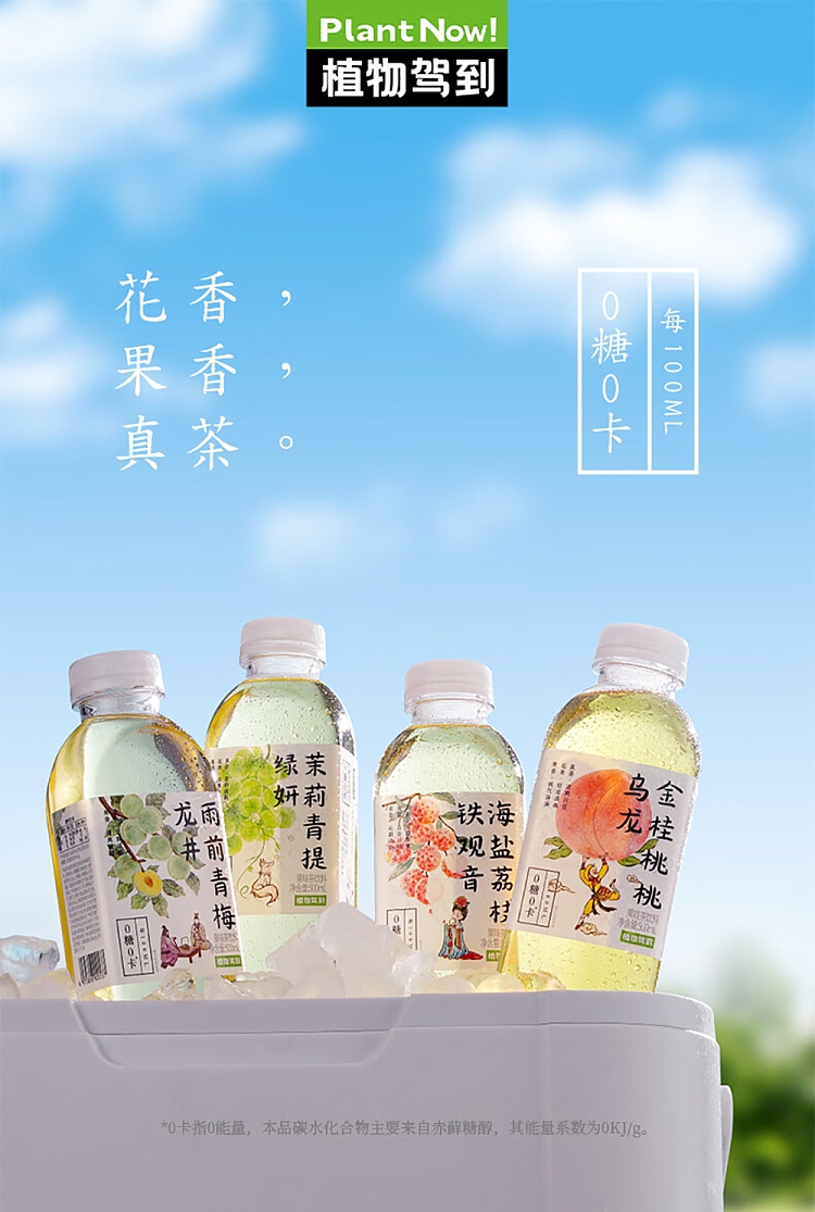botanicals-drive-to-rainy-day-plum-longjing-0-sugar-0-calorie-500ml-1