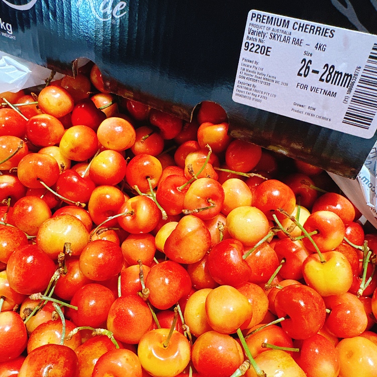 skylarerae-white-cherry-26-28mm-about-500g-1