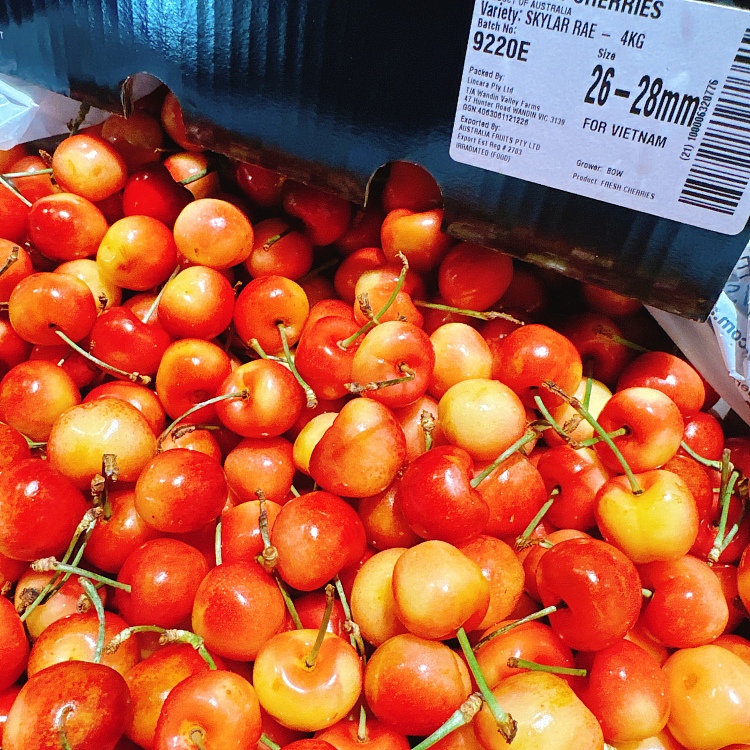 skylarerae-white-cherry-26-28mm-about-500g-2