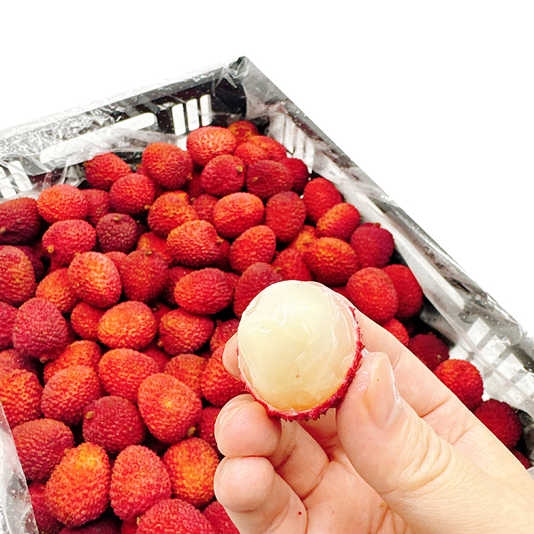 about-500g-of-lychee-1