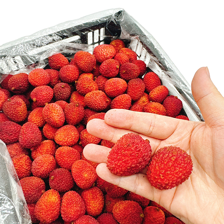 about-500g-of-lychee-2