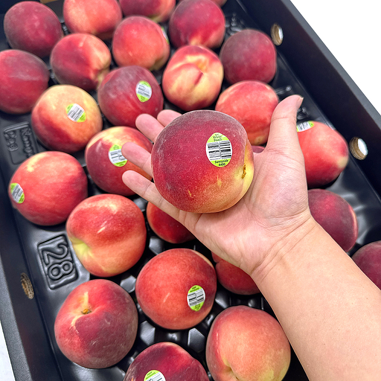 peach-4400-large-4-2