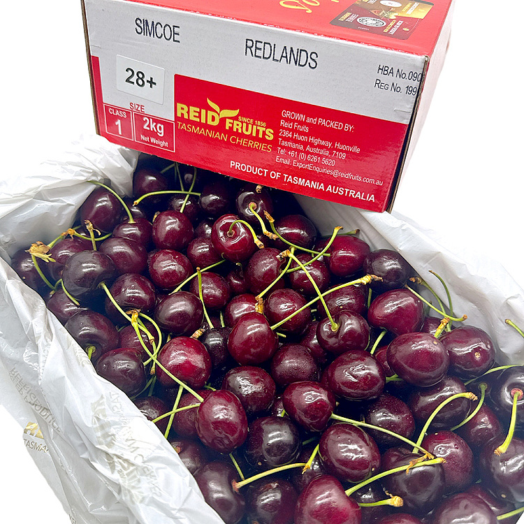 tachu-reid-28mmgift-box-approx-2kg-3