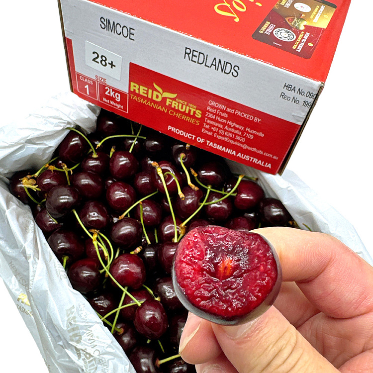 tachu-reid-28mmgift-box-approx-2kg-1