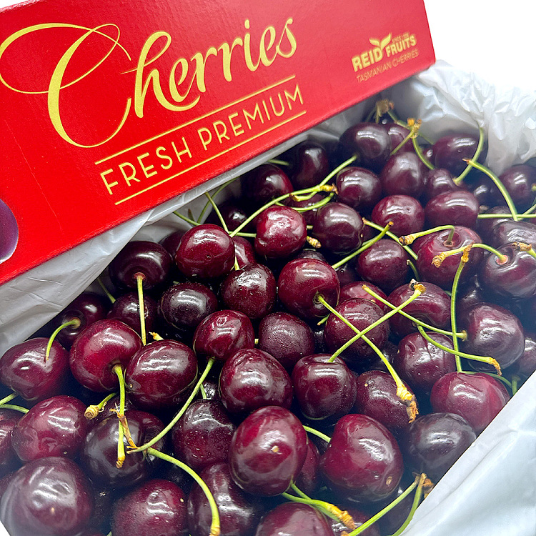 tachu-reid-28mmgift-box-approx-2kg-4