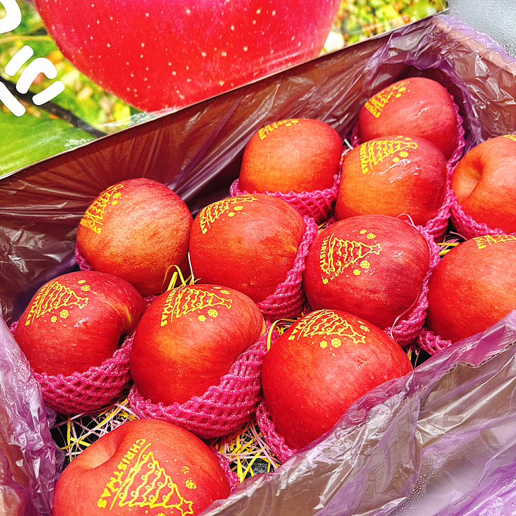 christmas-limited-fuji-christmas-fruit-size12-about-45kg-3