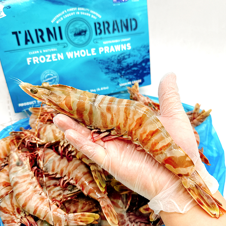 frozentarnibrand-sashimi-grade-raw-tiger-prawns-whole-carton-approx-3kg-1