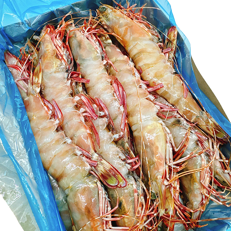 austfish-export-grade-wild-raw-tiger-prawns-u6-whole-carton-about-15kg-2