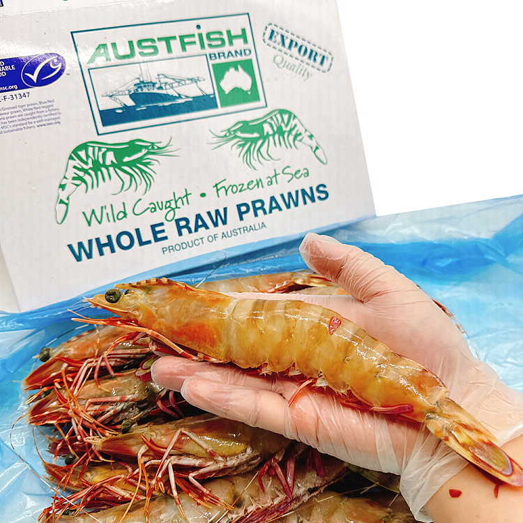 austfish-export-grade-wild-raw-tiger-prawns-u6-whole-carton-about-15kg-4