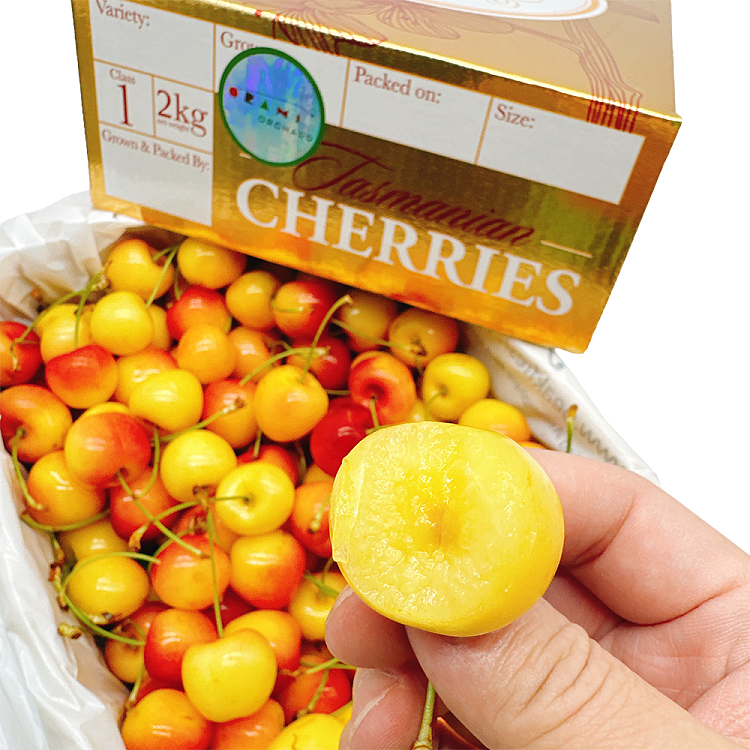 tasmanian-white-cherries-gift-box-approx-2kg-1