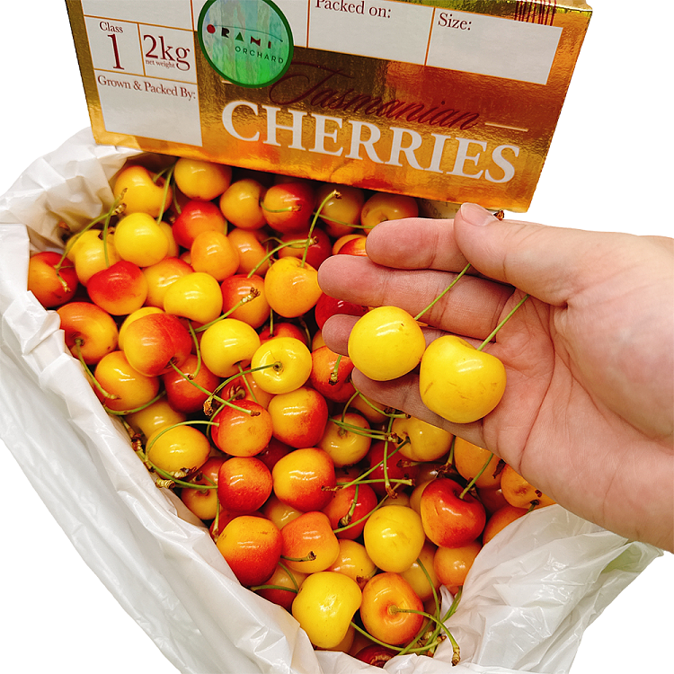 tasmanian-white-cherries-gift-box-approx-2kg-2