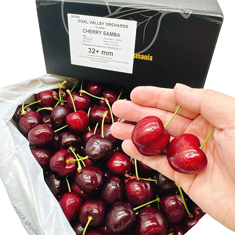 tasmanian-samba-cherries-32mmgift-box-approx-2kg-3