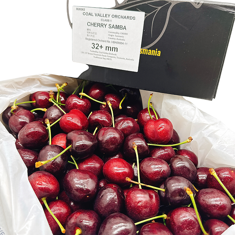 tasmanian-samba-cherries-32mmgift-box-approx-2kg-5