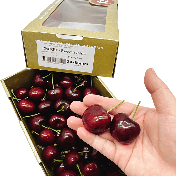 cherrybirdsweetgeorgia-red-cherry-34-46mm1kg-3