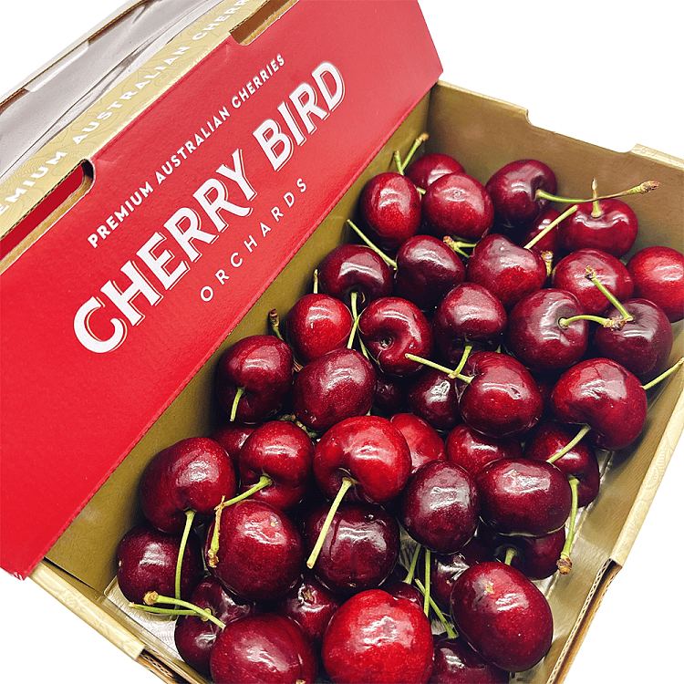 cherrybirdsweetgeorgia-red-cherry-34-46mm1kg-4