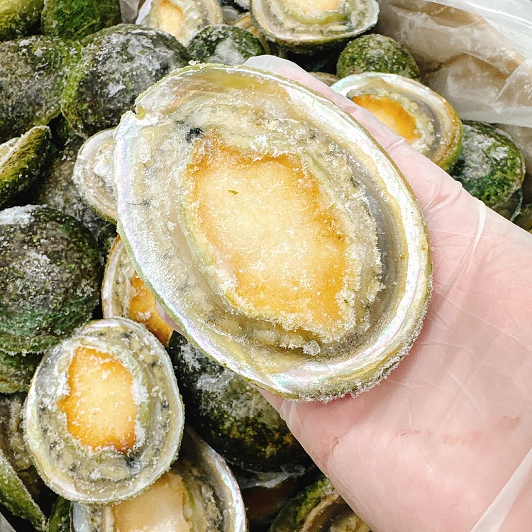 frozen-nanao-green-side-abalone-10-11-heads-about-900-1000g-3