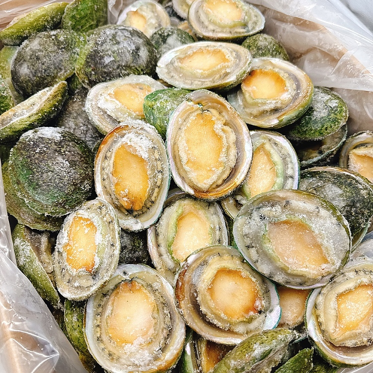 frozen-nanao-green-side-abalone-10-11-heads-about-900-1000g-4