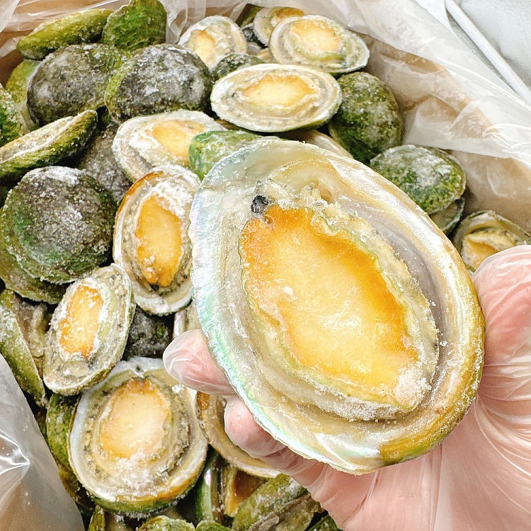 frozen-nanao-green-side-abalone-10-11-heads-about-900-1000g-1