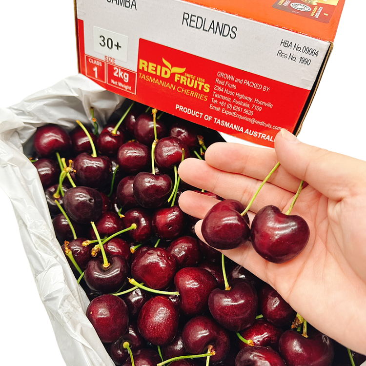 tasmania-reid-cherries-30mmgift-box-approx-2kg-4