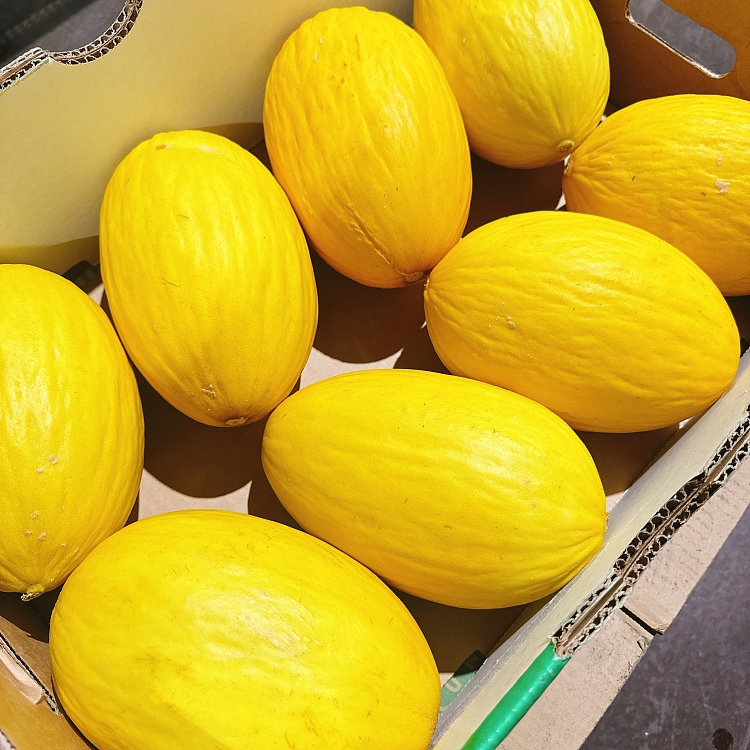 freshumall-own-christmas-honeydew-melon-small-1pc-1
