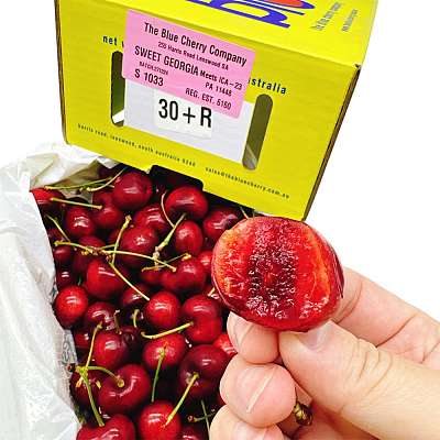 【整箱】The Blue Sweet Georgia樱桃 30mm+ 礼盒装 约2kg