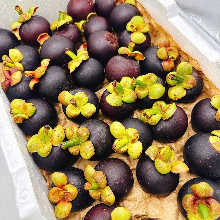 freshumalls-own-local-fresh-mangosteen-about-1kg-5