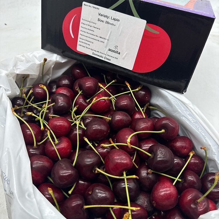 tasmanian-lapin-cherries-28-30mm-gift-box-approx-2kg-2