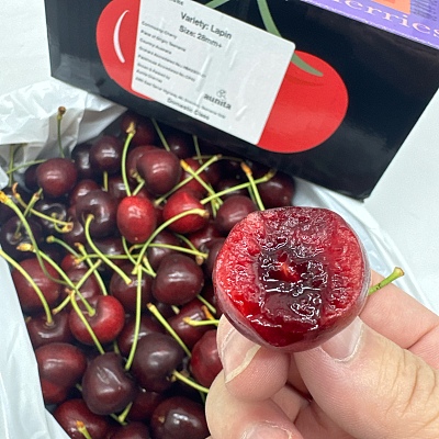 【整箱】塔州农场直发 塔斯马尼亚 Lapin樱桃 28mm+ 礼盒装 约2kg