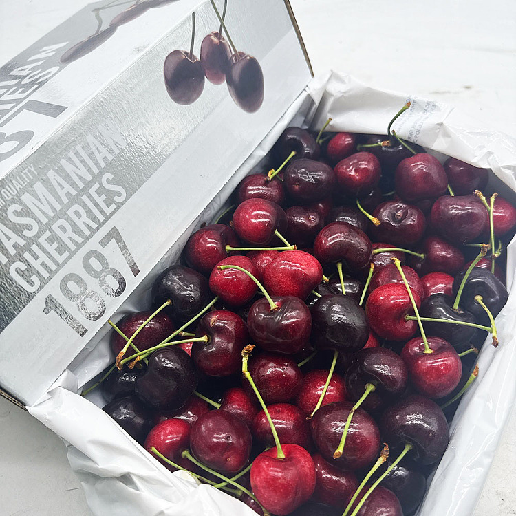 hansenorchardssweetgeorgia-cherry-3
