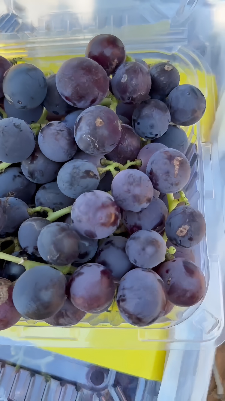 freshlocal-fresh-giant-peak-grapes-about-12kg-5