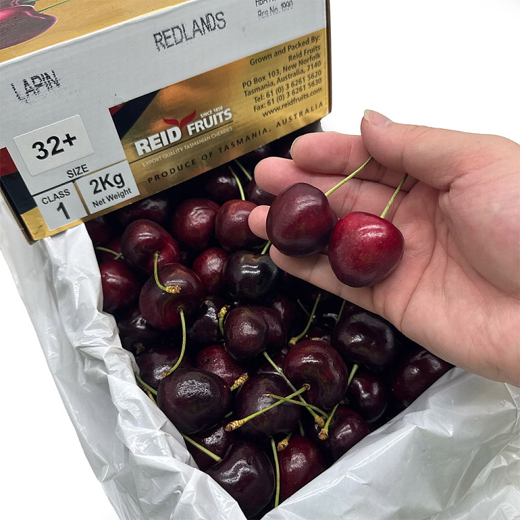 tasu-reidlapin-cherries-32mm-gift-box-approx-2kg-2