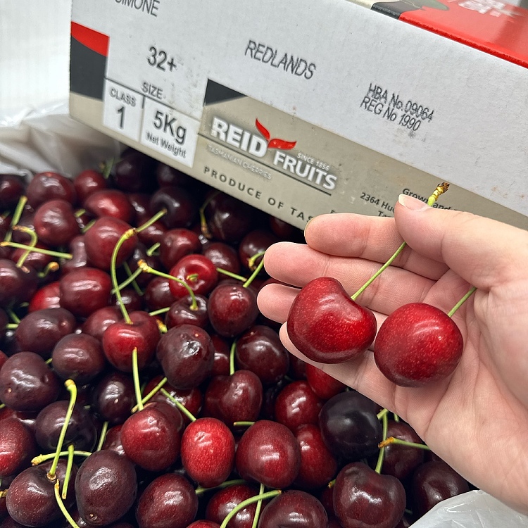 tasmania-reidsimone-cherry-32mm-approx-500g-2