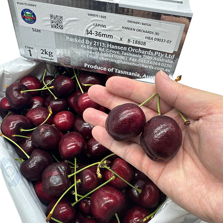 tasmanian-hansenlapin-cherries-34-36mm-gift-box-approx-2kg-1
