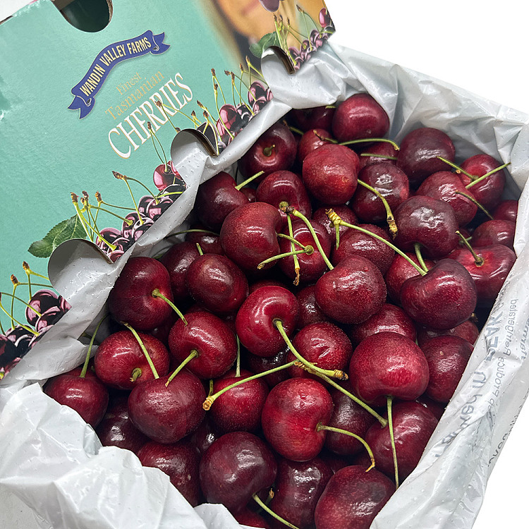 tasmanian-wvftamara-cherries-34-36mm-gift-box-approx-2kg-4