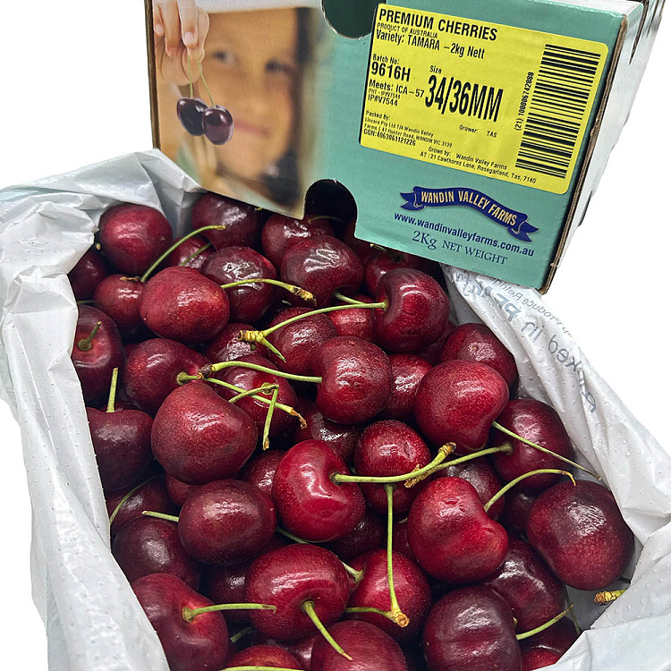 tasmanian-wvftamara-cherries-34-36mm-gift-box-approx-2kg-3