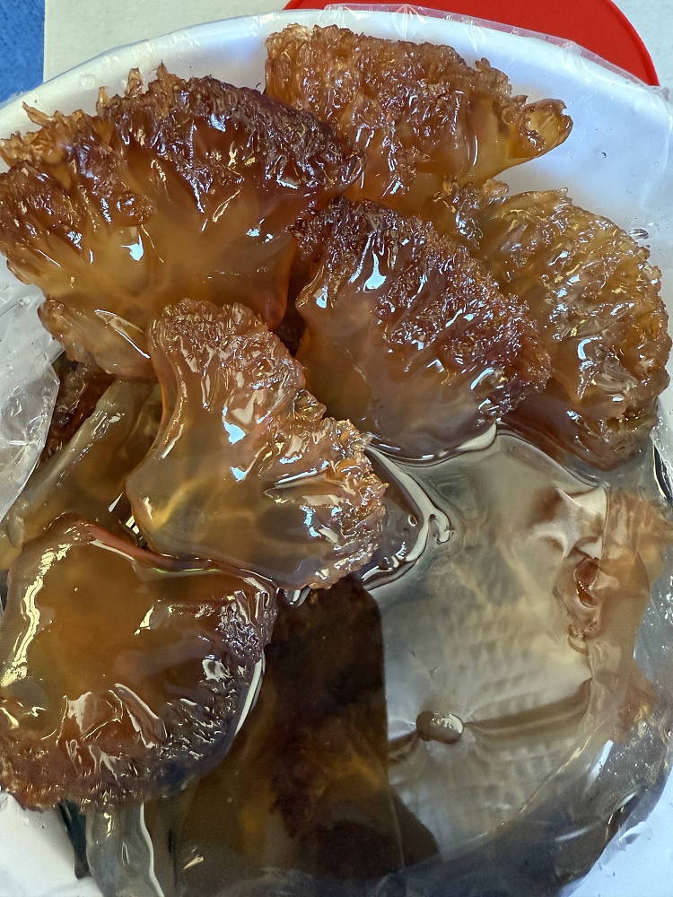 fresh-emerald-marinated-jellyfish-leaves-1kg-2