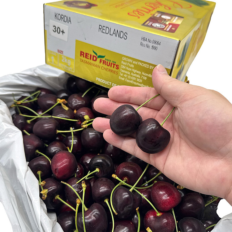 tasmania-gold-box-reidkordia-cherries-30mm-gift-box-approx-2kg-3