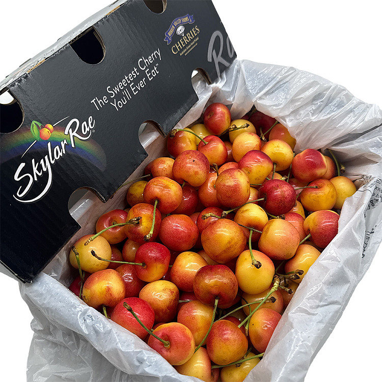 skylarrae-yellow-cherry-30-32mm-gift-box-approx-2kg-2