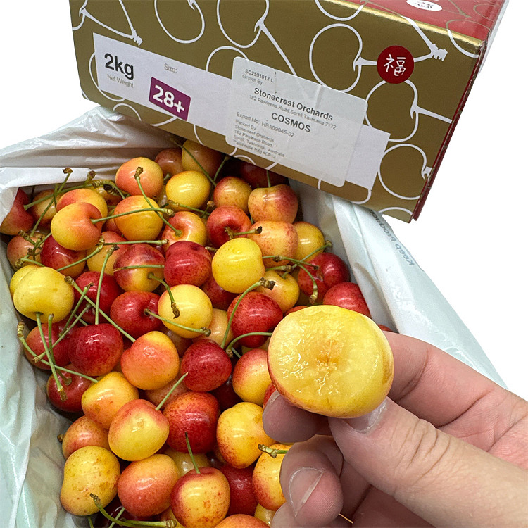 tasmanian-white-cherry-28mm-gift-box-approx-2kg-4
