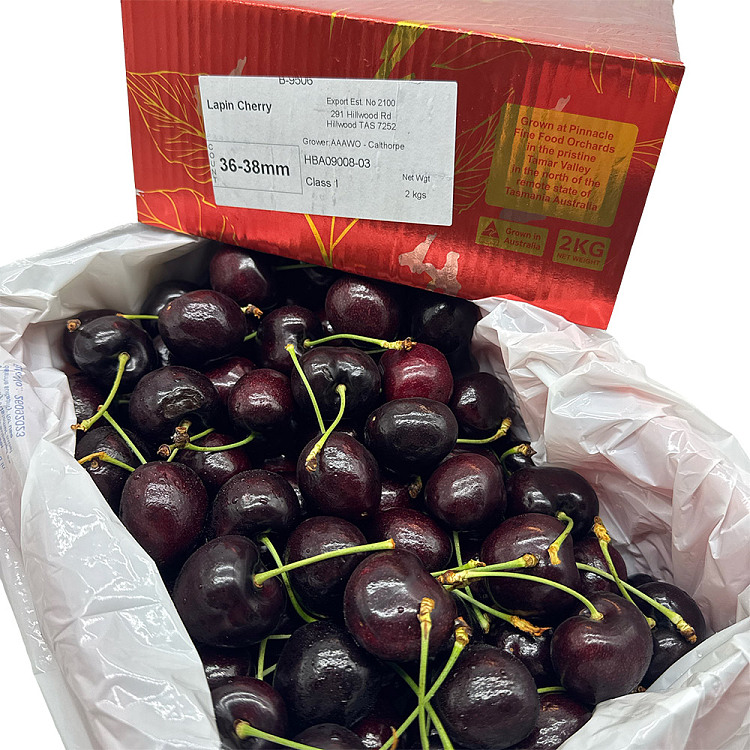 tasmanian-lapin-cherries-36-38mm-gift-box-approx-2kg-3