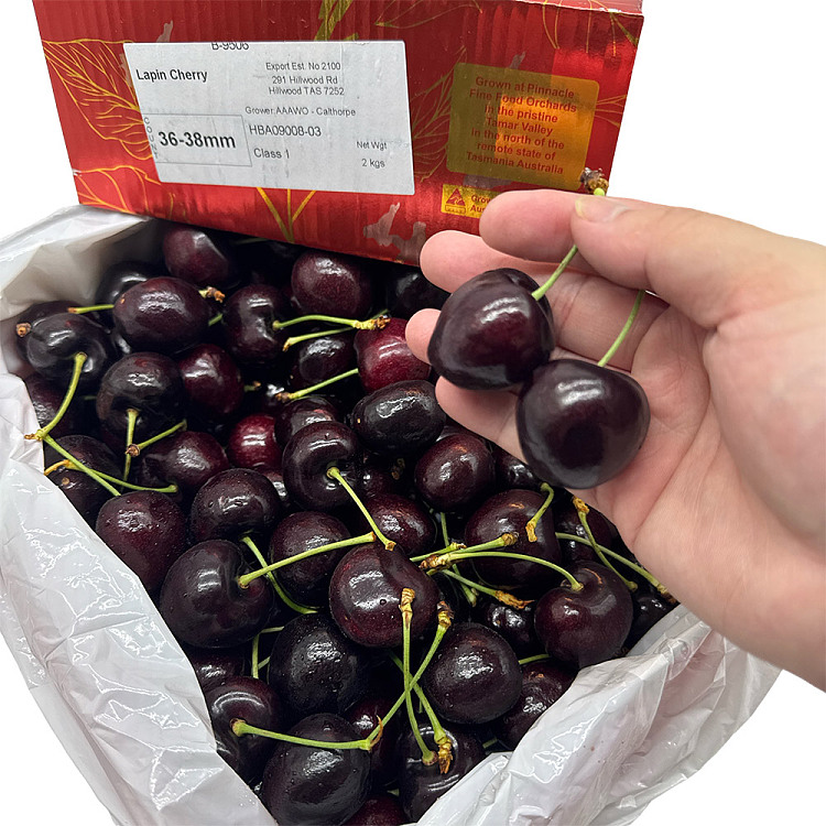 tasmanian-lapin-cherries-36-38mm-gift-box-approx-2kg-2