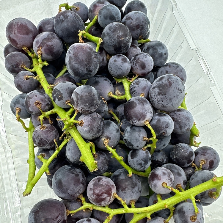 gemskyoho-korea-jumbo-australian-grown-approx-1kg-2