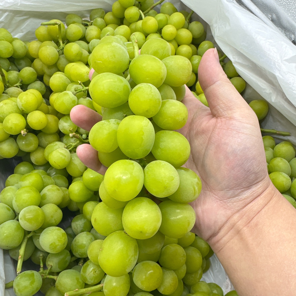 日本相印葡萄 澳洲种植 约500g｜悉尼华人超市送货｜UMall今日优选
