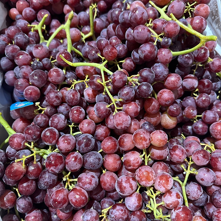 seedless-red-grapes-about-1kg-1