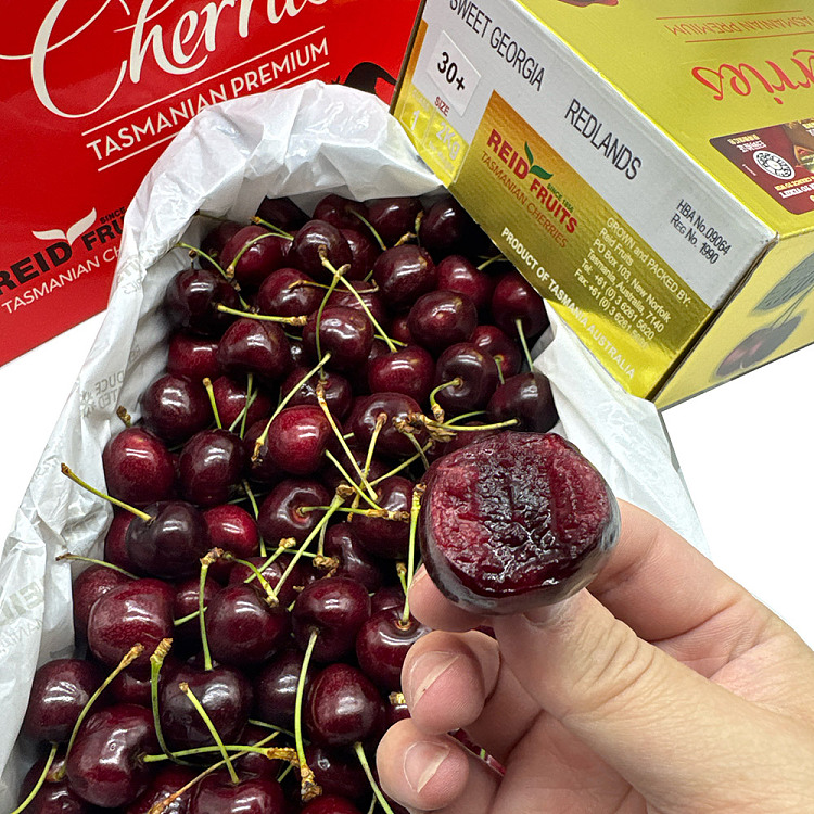 tasu-reidsweet-georgia-cherry-30mm-gold-case-4