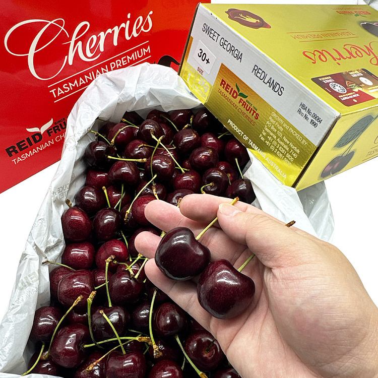 tasu-reidsweet-georgia-cherry-30mm-gold-case-3
