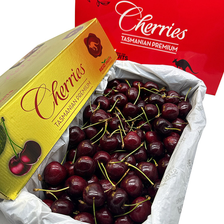 tasu-reidsweet-georgia-cherry-30mm-gold-case-2