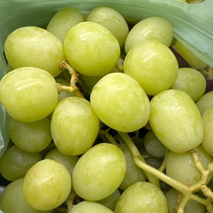 cordoma-green-raisin-approx-1kg-3