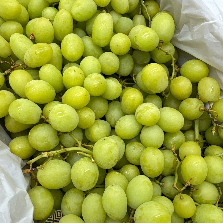 whole-boxaustralian-king-grapes-approx-45kg-2